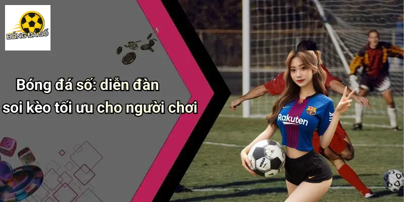 soi kèo 2 Soi Kèo