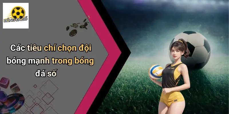 Tiêu Chí Chọn Đội Bóng Mạnh: Bí Kíp Đánh Giá Đội Đỉnh Online 2 Tiêu Chí Chọn Đội Bóng Mạnh