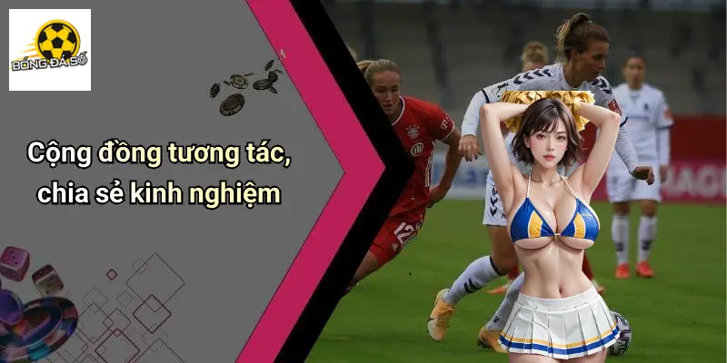Bóng đá số 71 Bóng Đá Số