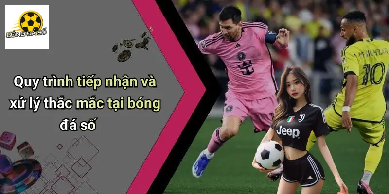 Liên hệ 3 Liên Hệ