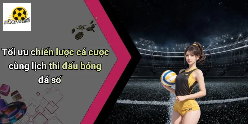 Lịch thi đấu 24 Lịch Thi Đấu