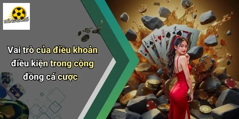 điều khoản điều kiện 1 Điều Khoản Điều Kiện