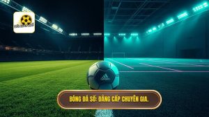 Luật bóng đá 5 người khác gì 11 người? So sánh chi tiết nhất