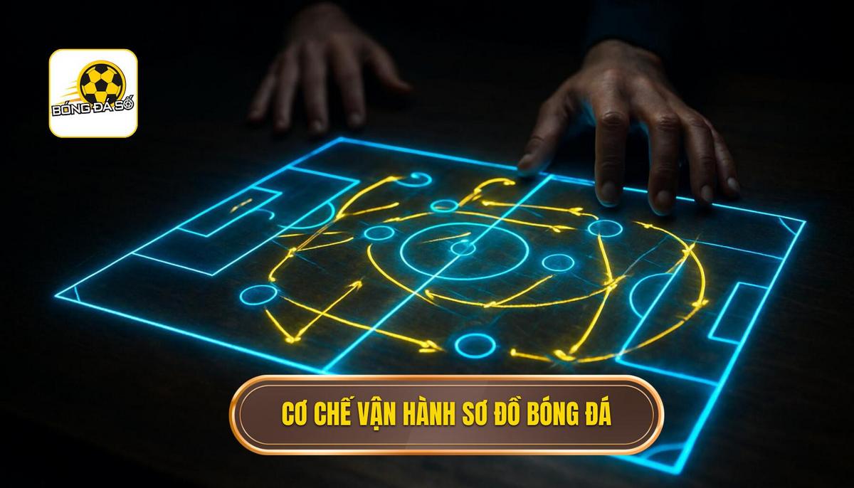 Cơ chế vận hành của sơ đồ không tiền đạo trên sân cỏ