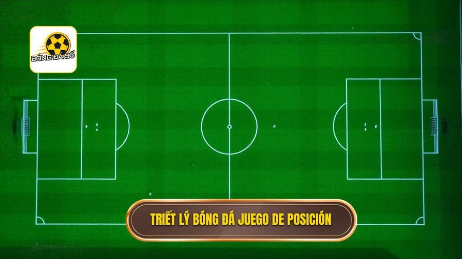 Nền tảng cốt lõi: Triết lý Juego de Posición