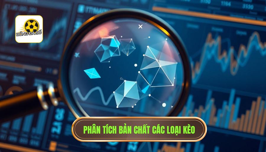 Hiểu Rõ Về Bản Chất Của Các Loại Kèo