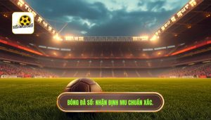 nhận định trận đấu Manchester United hôm nay