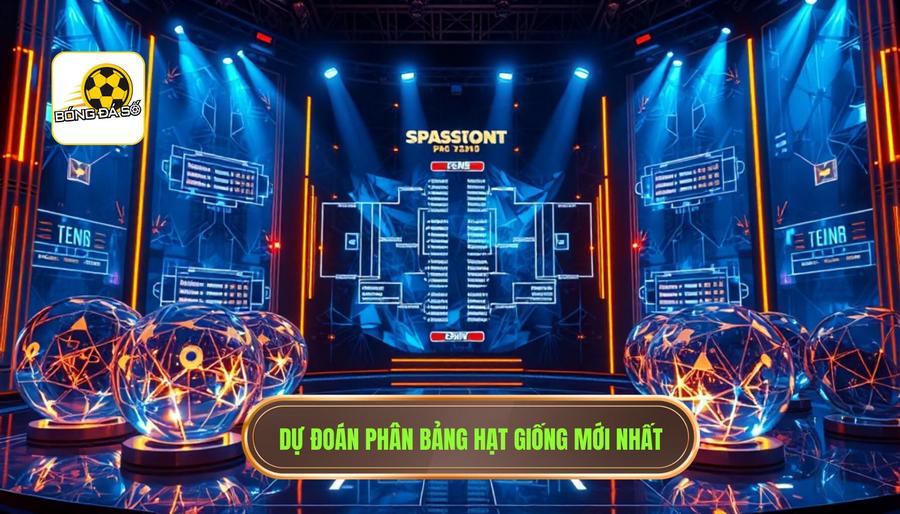 Dự đoán các nhóm hạt giống và kịch bản phân chia bảng đấu